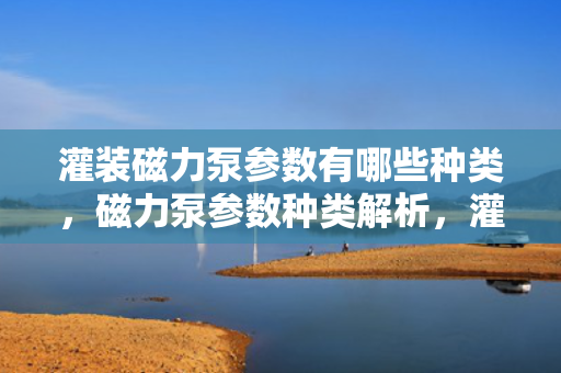 灌装磁力泵参数有哪些种类，磁力泵参数种类解析，灌装磁力泵特性概览