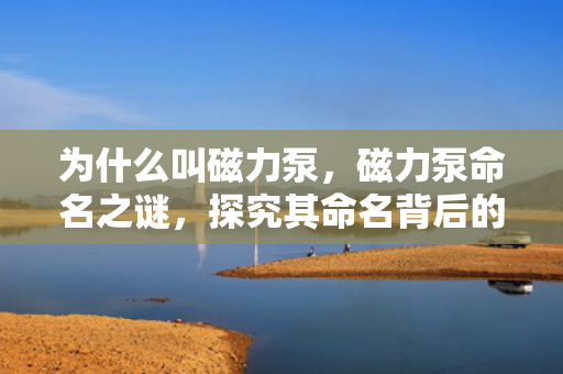 为什么叫磁力泵，磁力泵命名之谜，探究其命名背后的原因