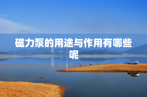 磁力泵的用途与作用有哪些呢
