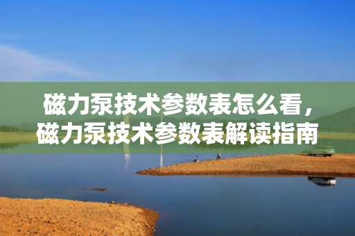磁力泵技术参数表怎么看，磁力泵技术参数表解读指南