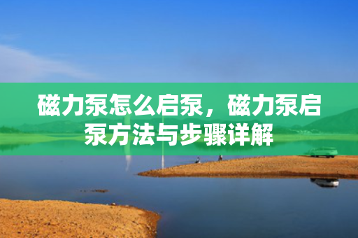 磁力泵怎么启泵，磁力泵启泵方法与步骤详解