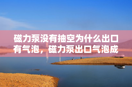 磁力泵没有抽空为什么出口有气泡，磁力泵出口气泡成因解析，非抽空状态下为何仍有气泡？