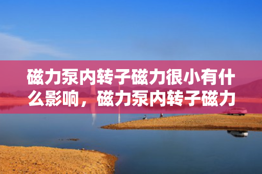 磁力泵内转子磁力很小有什么影响，磁力泵内转子磁力减小的影响分析