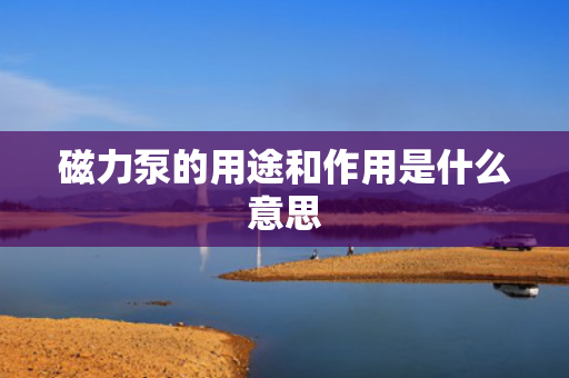 磁力泵的用途和作用是什么意思