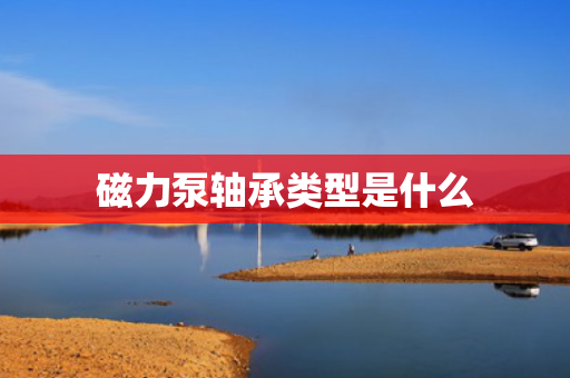 磁力泵轴承类型是什么
