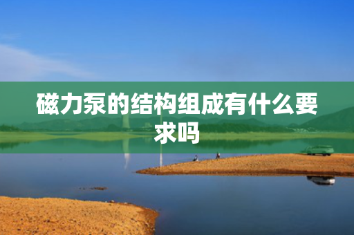 磁力泵的结构组成有什么要求吗
