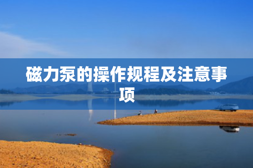 磁力泵的操作规程及注意事项