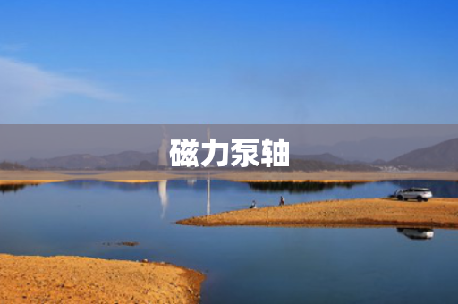 磁力泵轴