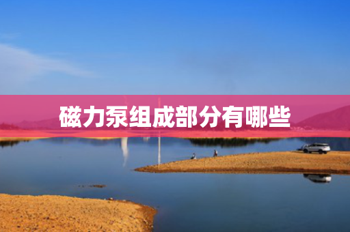 磁力泵组成部分有哪些
