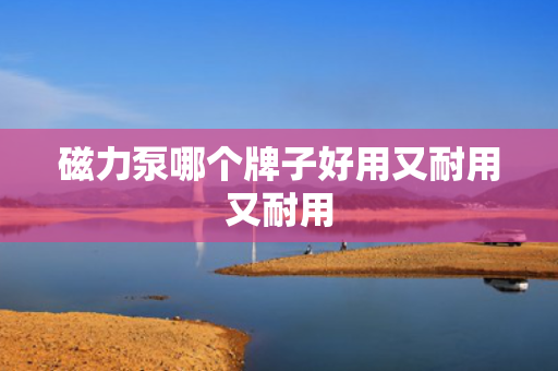 磁力泵哪个牌子好用又耐用又耐用