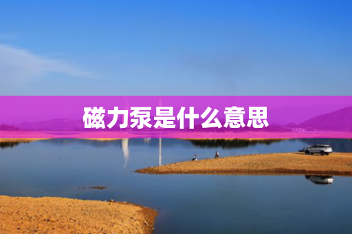 磁力泵是什么意思