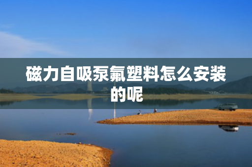 磁力自吸泵氟塑料怎么安装的呢