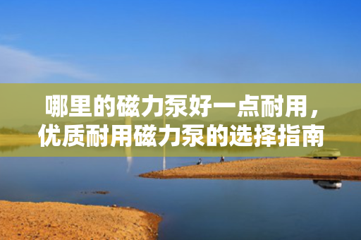 哪里的磁力泵好一点耐用，优质耐用磁力泵的选择指南，寻找行业内的佼佼者