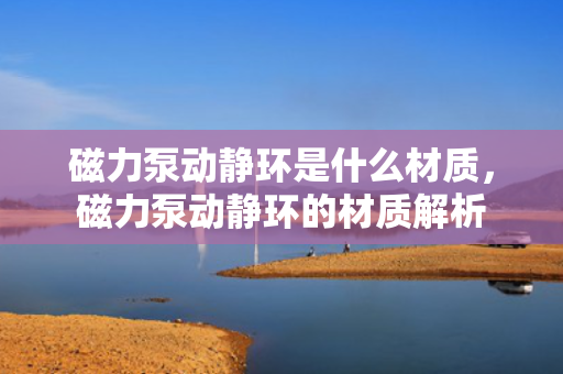 磁力泵动静环是什么材质，磁力泵动静环的材质解析