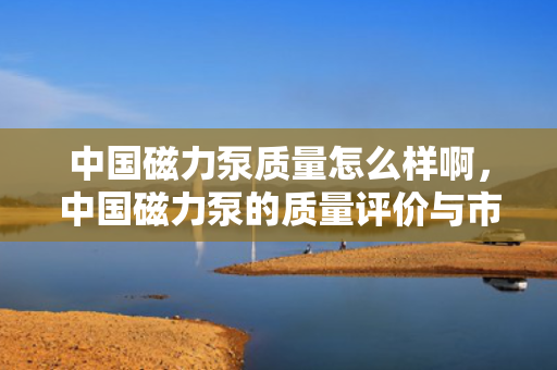中国磁力泵质量怎么样啊，中国磁力泵的质量评价与市场表现