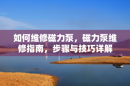 如何维修磁力泵，磁力泵维修指南，步骤与技巧详解