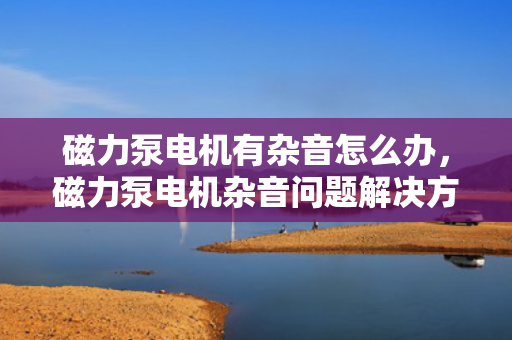 磁力泵电机有杂音怎么办，磁力泵电机杂音问题解决方案