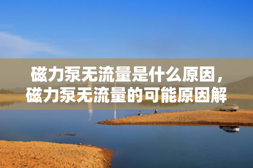 磁力泵无流量是什么原因，磁力泵无流量的可能原因解析