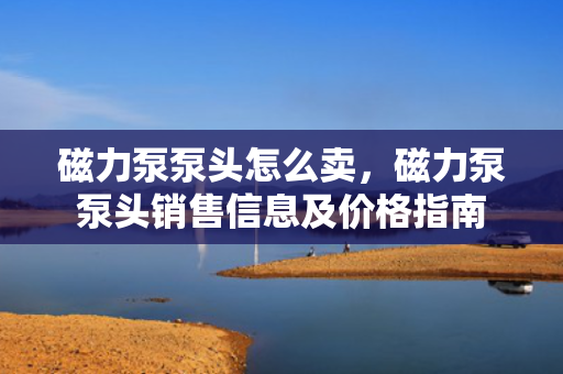 磁力泵泵头怎么卖，磁力泵泵头销售信息及价格指南