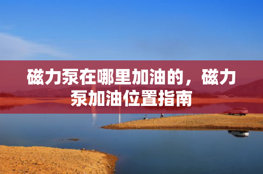 磁力泵在哪里加油的，磁力泵加油位置指南