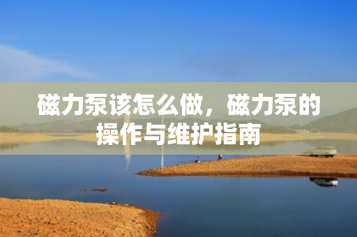 磁力泵该怎么做，磁力泵的操作与维护指南