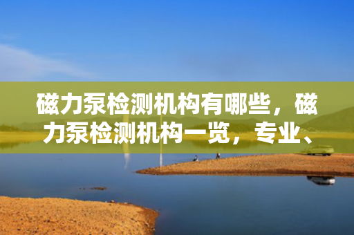 磁力泵检测机构有哪些，磁力泵检测机构一览，专业、可靠的检测服务提供者