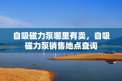 自吸磁力泵哪里有卖，自吸磁力泵销售地点查询