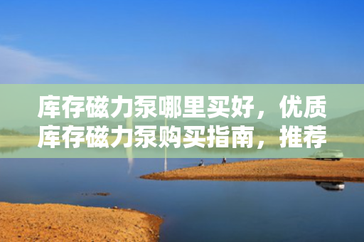 库存磁力泵哪里买好，优质库存磁力泵购买指南，推荐最佳购买地点