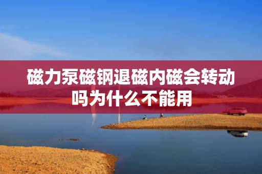 磁力泵磁钢退磁内磁会转动吗为什么不能用