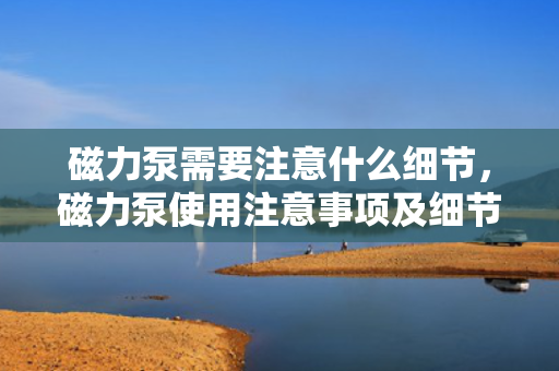 磁力泵需要注意什么细节，磁力泵使用注意事项及细节指南