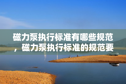 磁力泵执行标准有哪些规范，磁力泵执行标准的规范要求概述