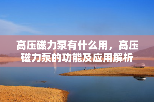 高压磁力泵有什么用，高压磁力泵的功能及应用解析