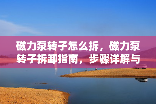 磁力泵转子怎么拆，磁力泵转子拆卸指南，步骤详解与注意事项