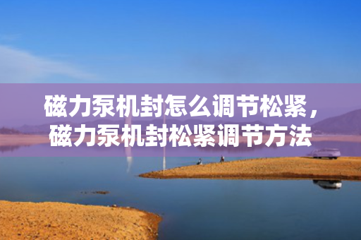 磁力泵机封怎么调节松紧，磁力泵机封松紧调节方法