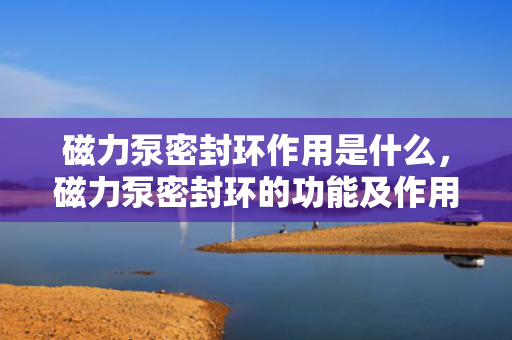 磁力泵密封环作用是什么，磁力泵密封环的功能及作用解析
