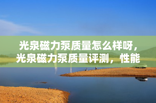 光泉磁力泵质量怎么样呀，光泉磁力泵质量评测，性能与耐用性探究