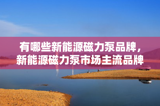 有哪些新能源磁力泵品牌，新能源磁力泵市场主流品牌推荐