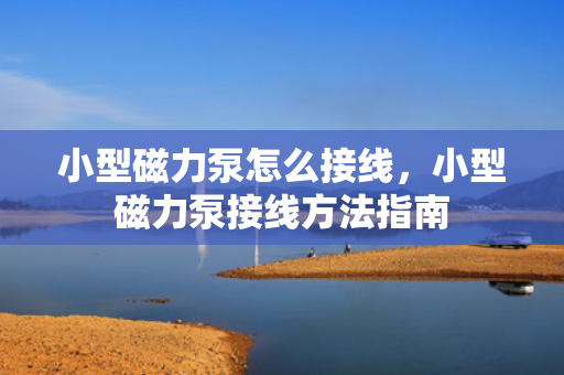 小型磁力泵怎么接线，小型磁力泵接线方法指南