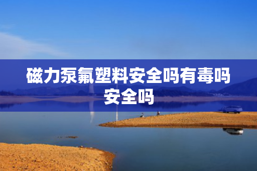 磁力泵氟塑料安全吗有毒吗安全吗