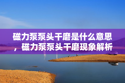 磁力泵泵头干磨是什么意思，磁力泵泵头干磨现象解析