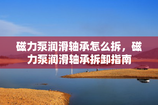 磁力泵润滑轴承怎么拆，磁力泵润滑轴承拆卸指南