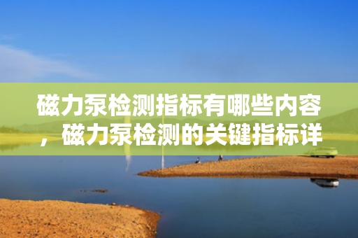 磁力泵检测指标有哪些内容，磁力泵检测的关键指标详解