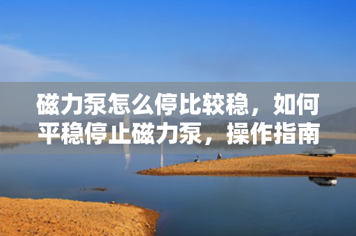 磁力泵怎么停比较稳，如何平稳停止磁力泵，操作指南与注意事项