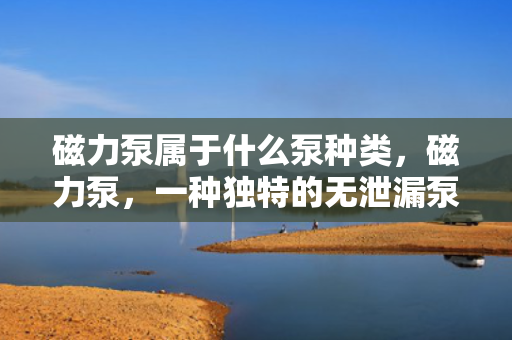 磁力泵属于什么泵种类，磁力泵，一种独特的无泄漏泵类，了解其分类及特点