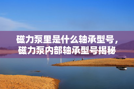 磁力泵里是什么轴承型号，磁力泵内部轴承型号揭秘