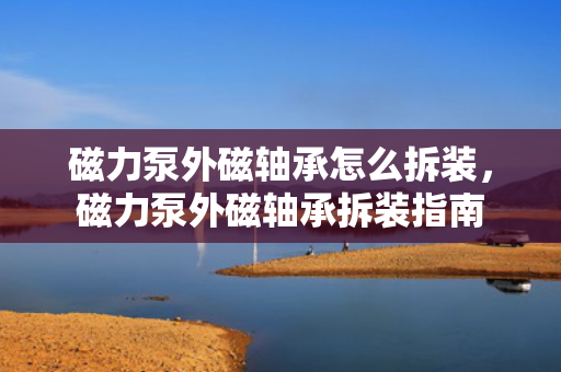 磁力泵外磁轴承怎么拆装，磁力泵外磁轴承拆装指南