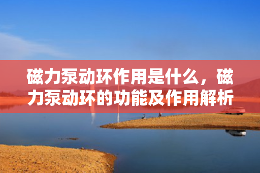 磁力泵动环作用是什么，磁力泵动环的功能及作用解析