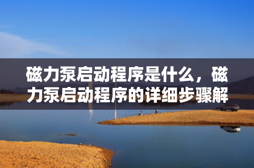 磁力泵启动程序是什么，磁力泵启动程序的详细步骤解析
