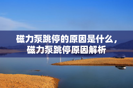 磁力泵跳停的原因是什么，磁力泵跳停原因解析