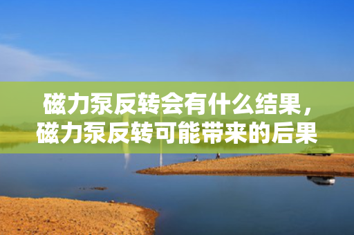 磁力泵反转会有什么结果，磁力泵反转可能带来的后果